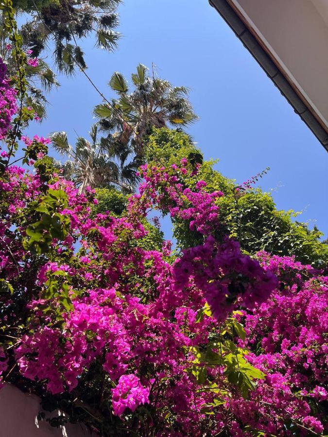 Palma Rosa Hotel Çamyuva Buitenkant foto