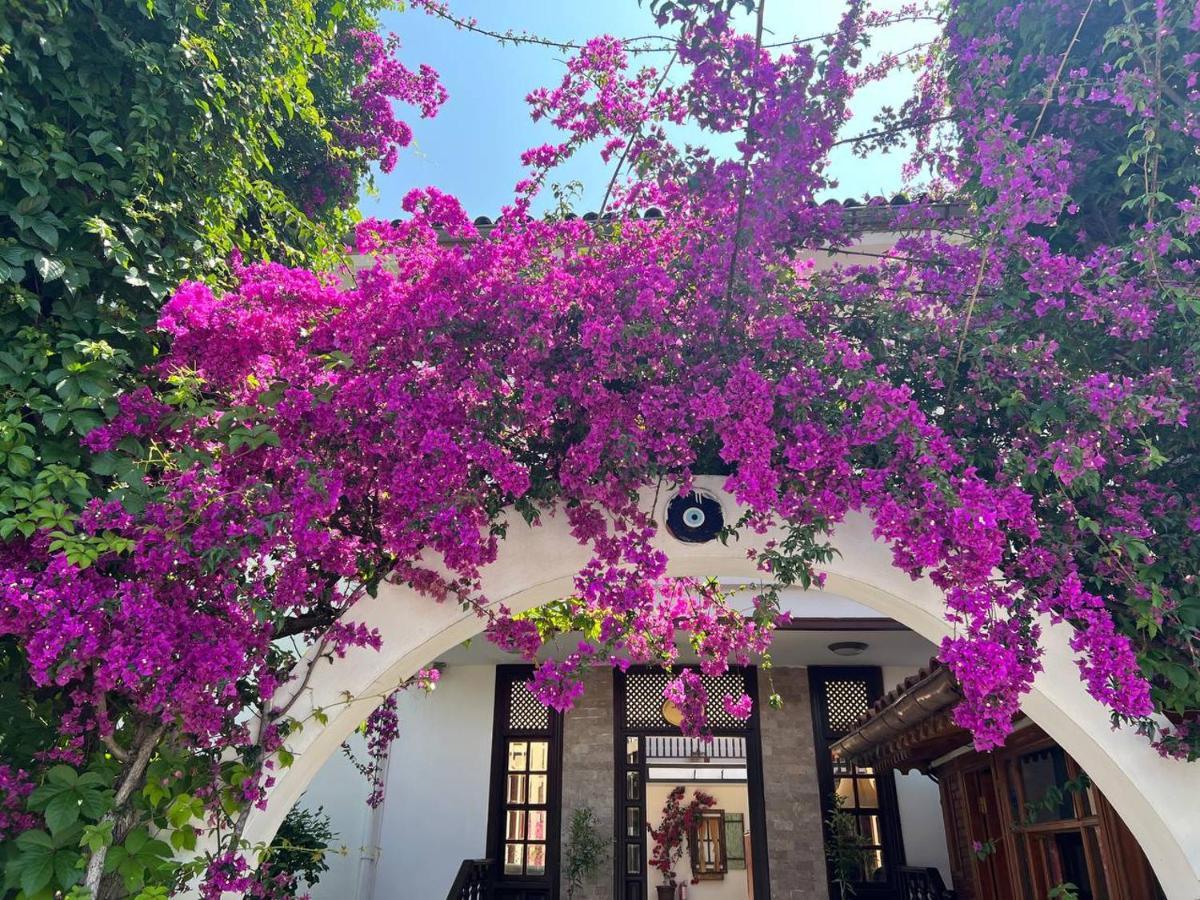 Palma Rosa Hotel Çamyuva Buitenkant foto